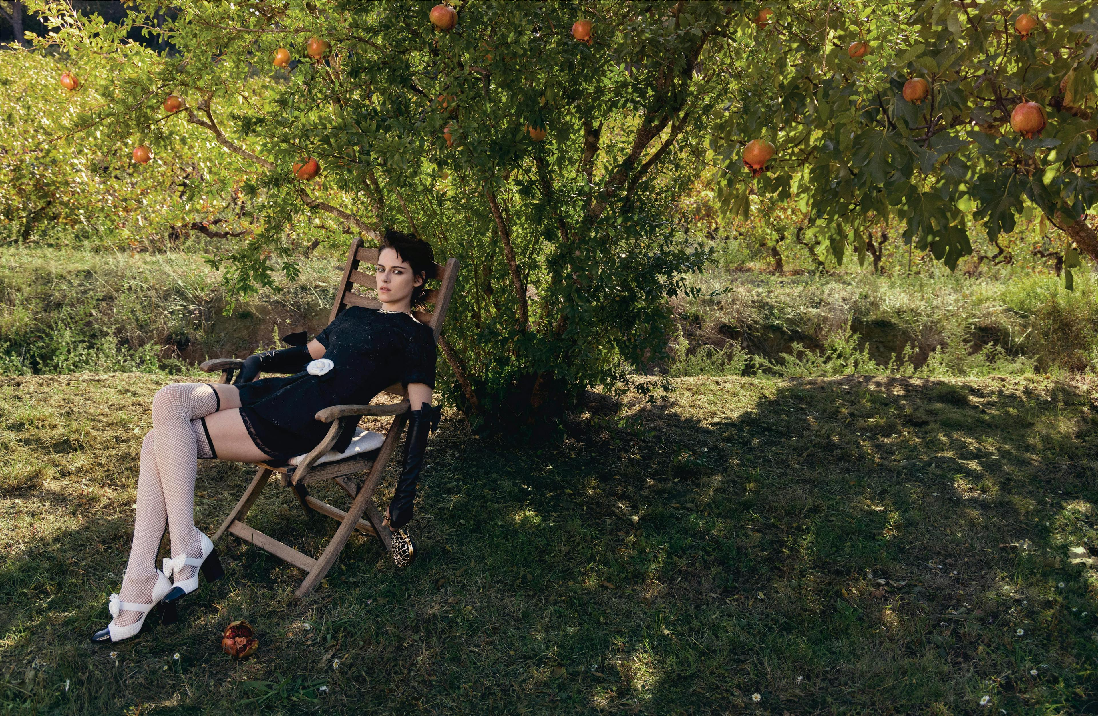 person sitting grass plant fruit produce apple vegetation chair tree